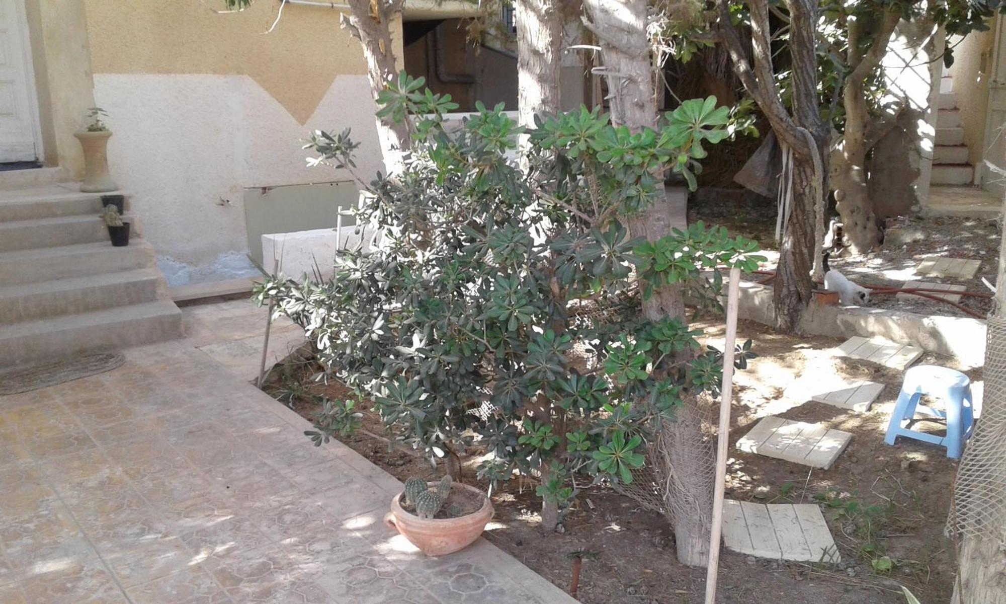 Duplex Pied Dans L'Eau Avec Magnifique Vue Sur Mer Monastir Exterior photo