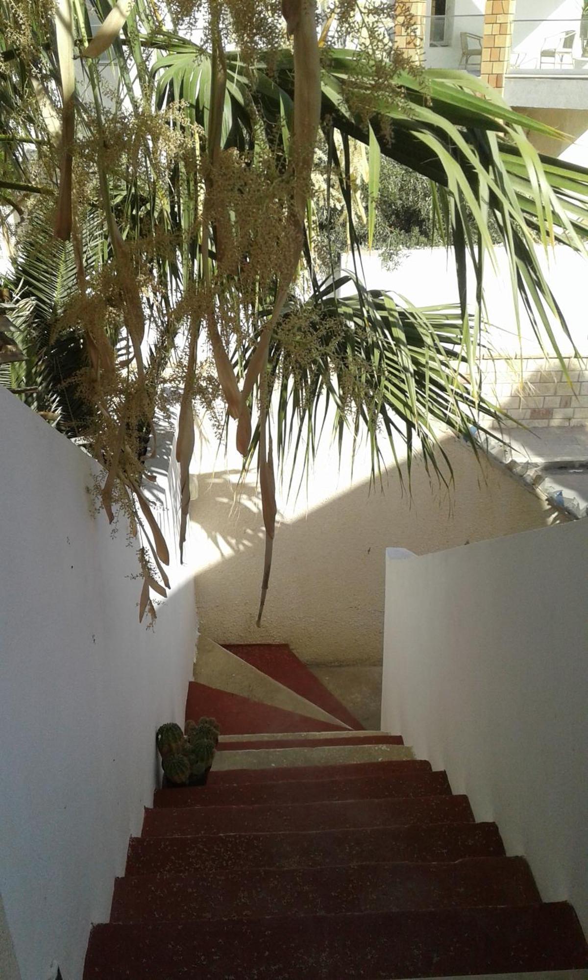 Duplex Pied Dans L'Eau Avec Magnifique Vue Sur Mer Monastir Exterior photo